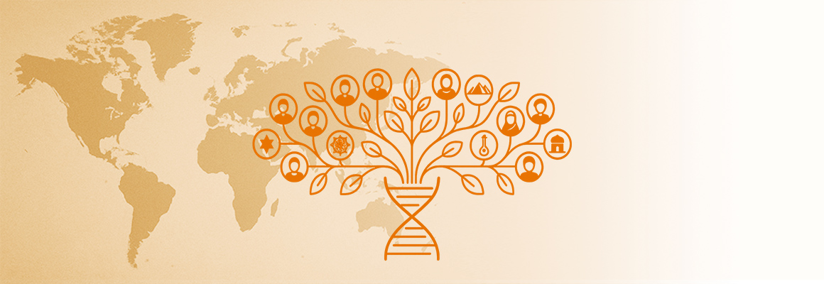 Картинка продукта